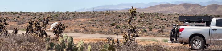 The Baja…